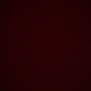 Meet your Posher, Dylan